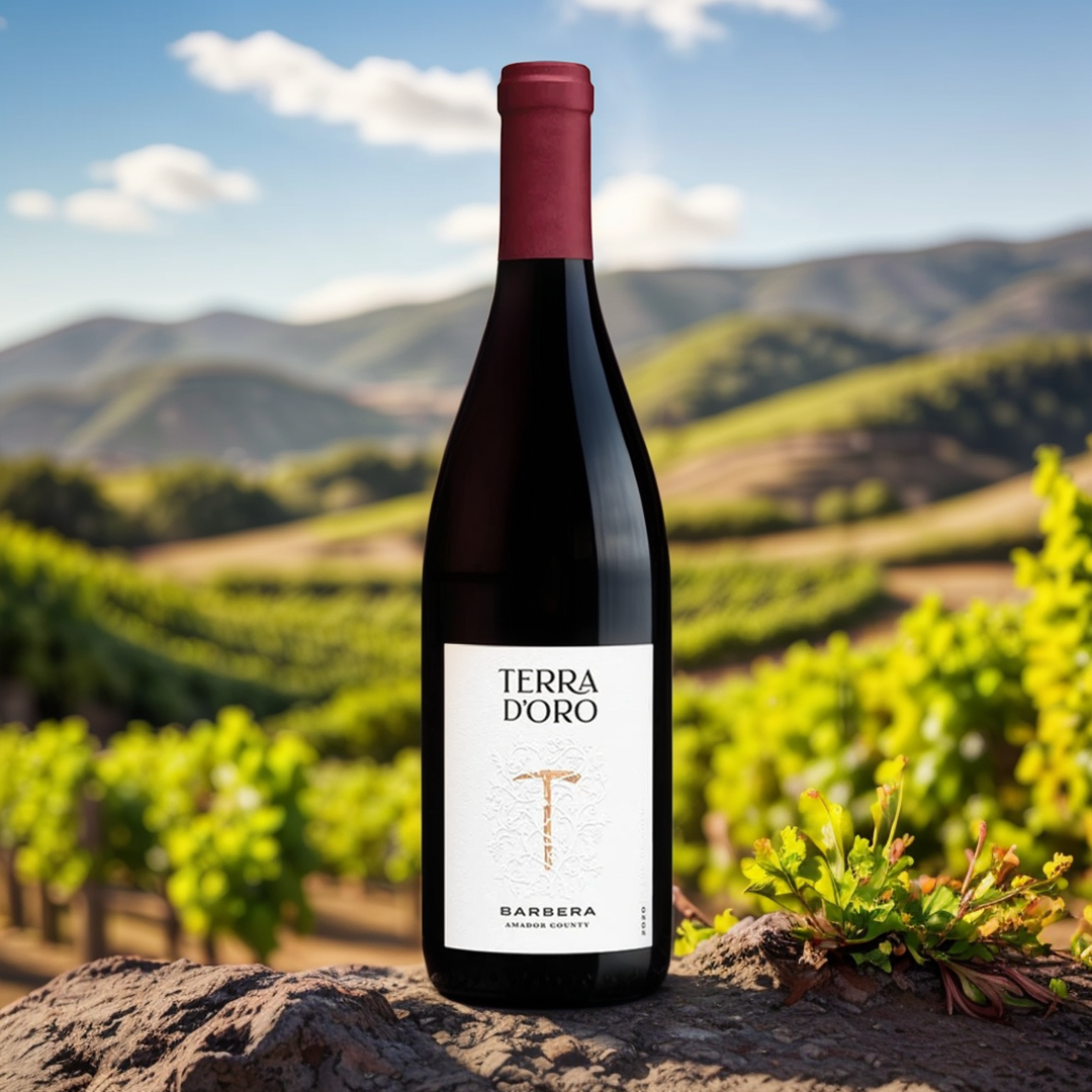 Terra D'Oro 2019 Barbera Wine